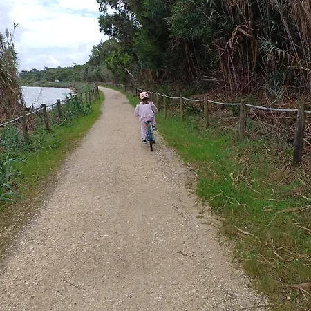 펜션 Casa Dos Pinheiros