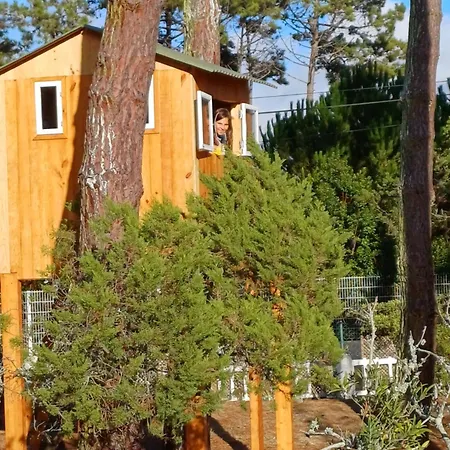 Casa Dos Pinheiros 펜션 *