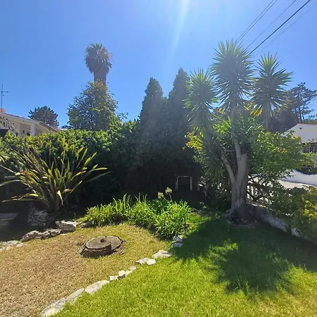 Casa Dos Pinheiros Feriehus